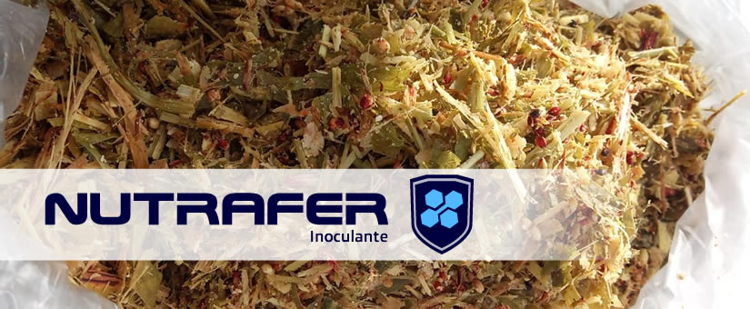 NUTRAFER TOPE inoculante Copia